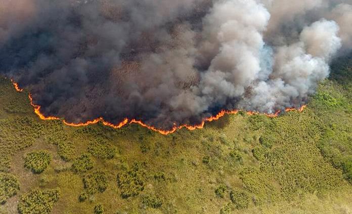 Incendios en Sian Ka’an están arrasando con la biosfera