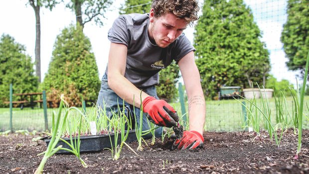 Convocan al primer concurso “Haciendo Jardinería Ambiental en mi Ciudad”