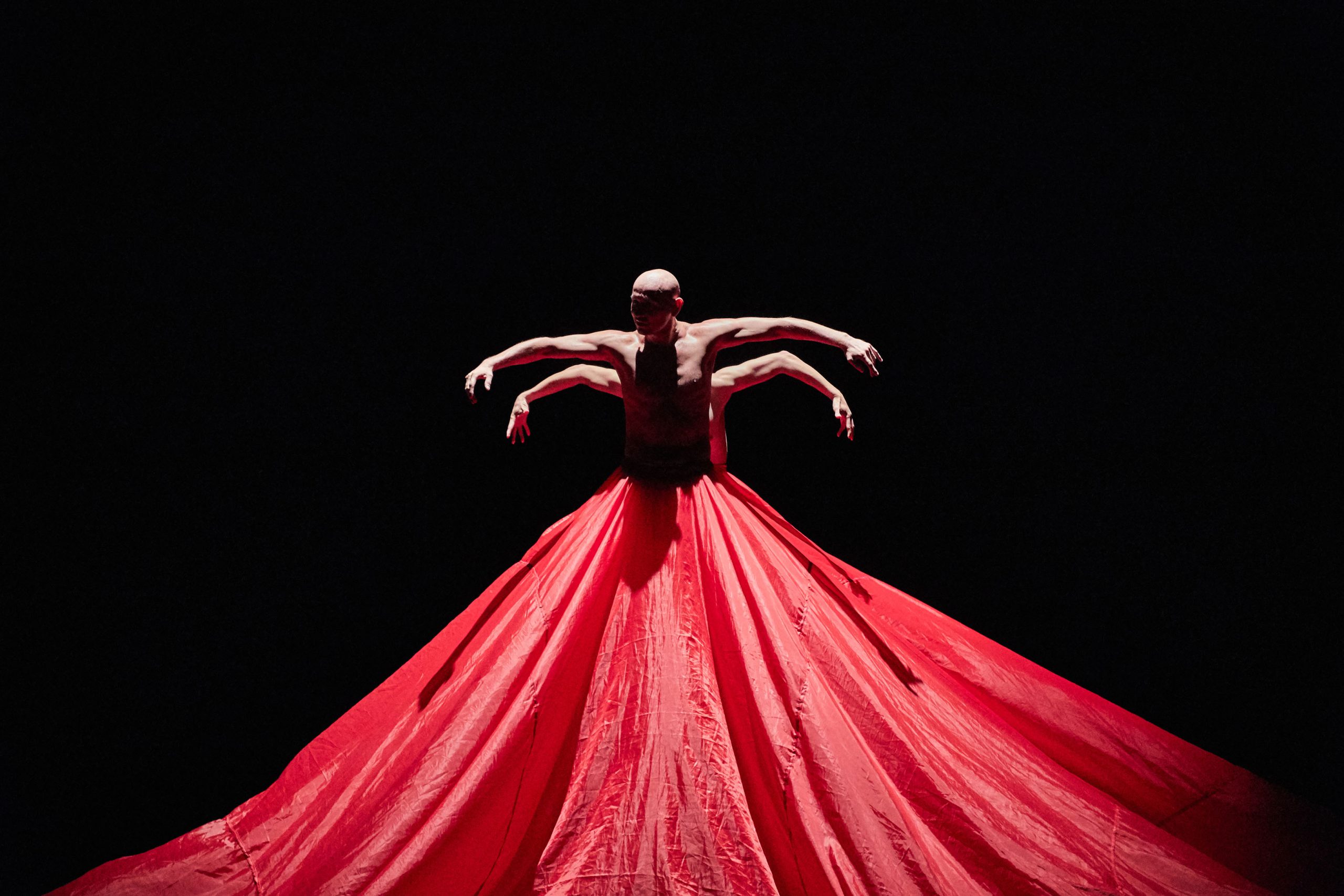 Teatro de la Ciudad será sede del séptimo festival internacional de danza contemporánea