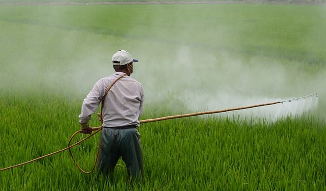 Prohibir plaguicidas disminuirá la producción agrícola y causará un aumento en el precio de los alimentos