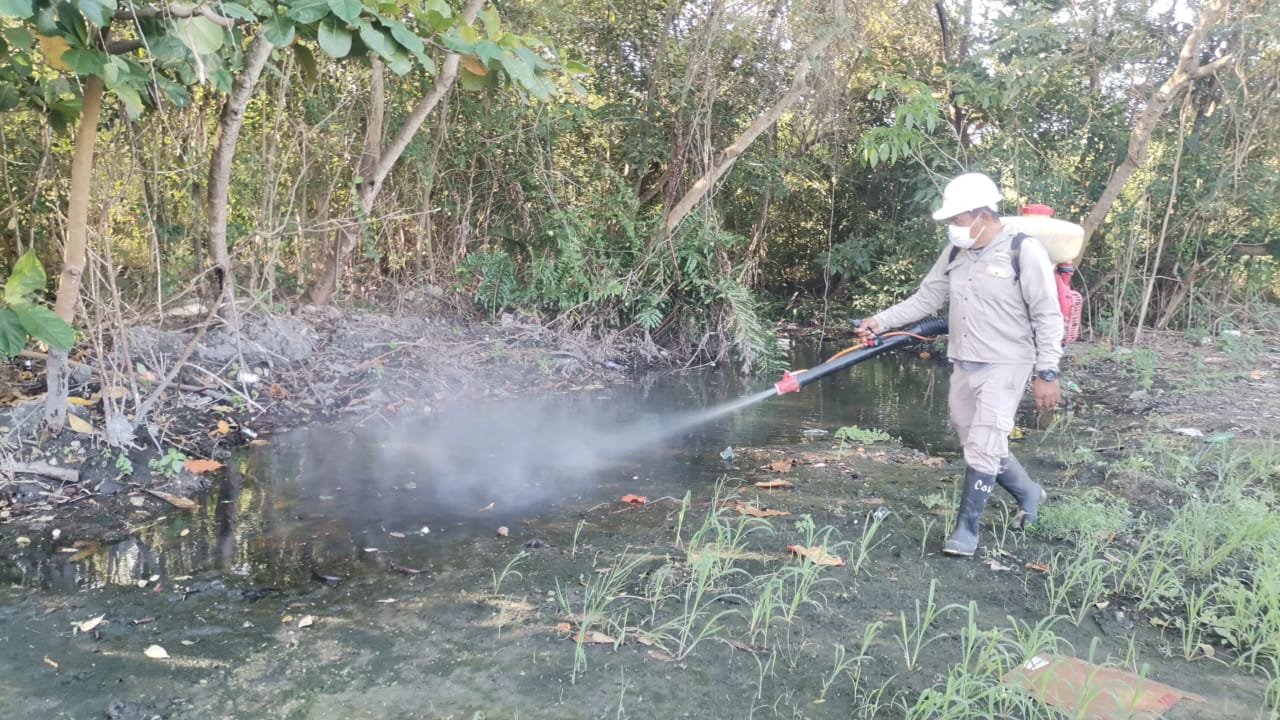 SESA fortalece sus acciones preventivas contra el dengue