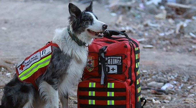 Equipos de rescate dejarán Turquía desde mañana: Sedena