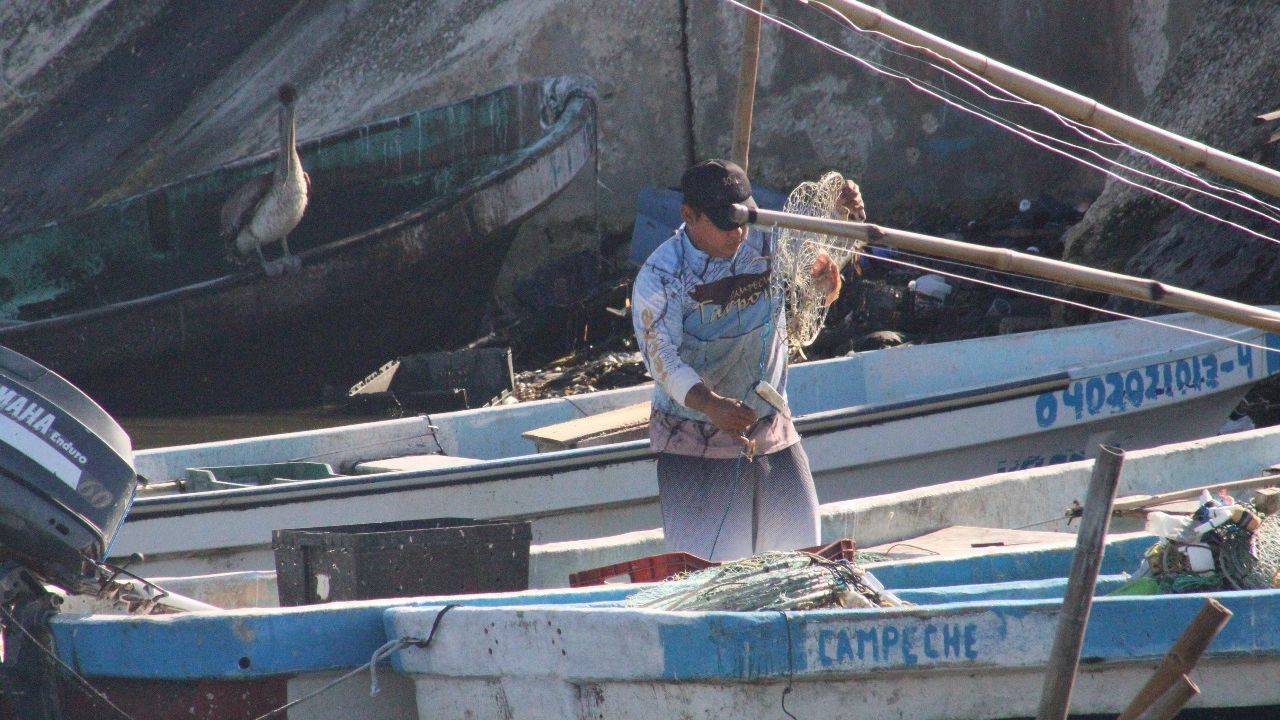 Acuerdan estados de la Península de Yucatán combatir en conjunto Ilícitos ambientales y pesqueros