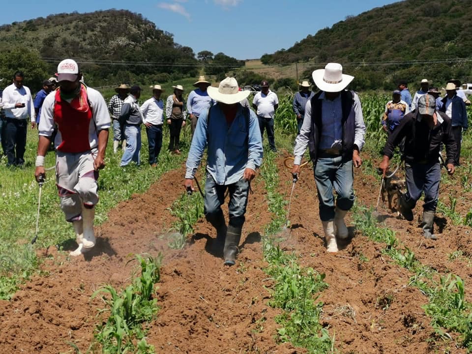 Campesinos marcharán este 1º. de mayo para exigir mejores condiciones laborales: Álvaro López Ríos