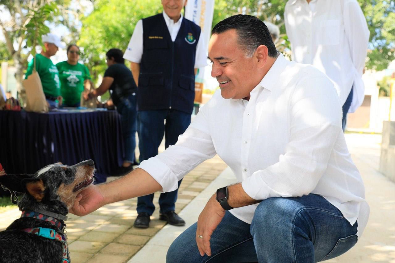 Mérida continúa con esterilizaciones de mascotas a bajo costo