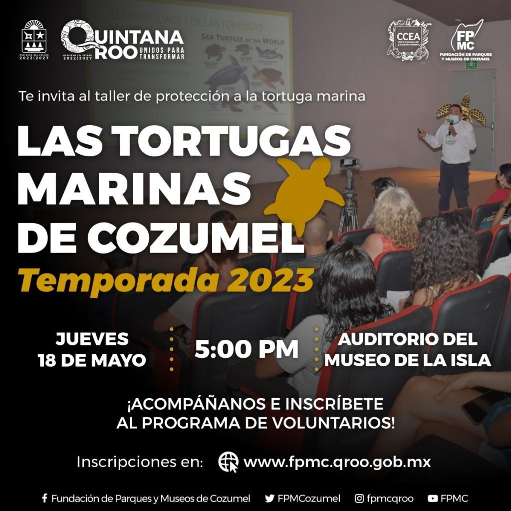 cozumel-impartira-taller-de-proteccion-a-las-tortugas-marinas-1024×1024-jpeg