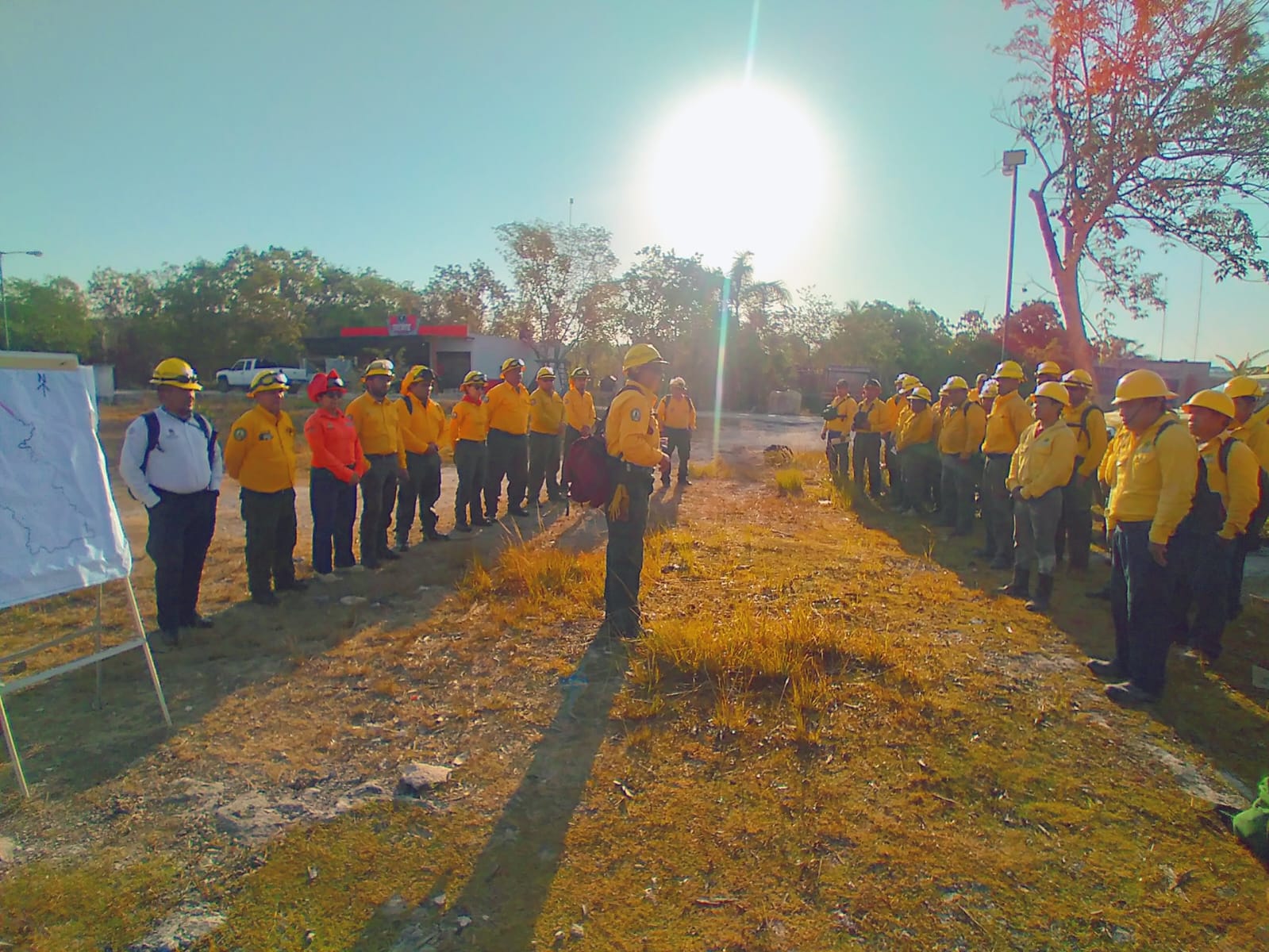 Quintana Roo mantiene bajo control los incendios forestales