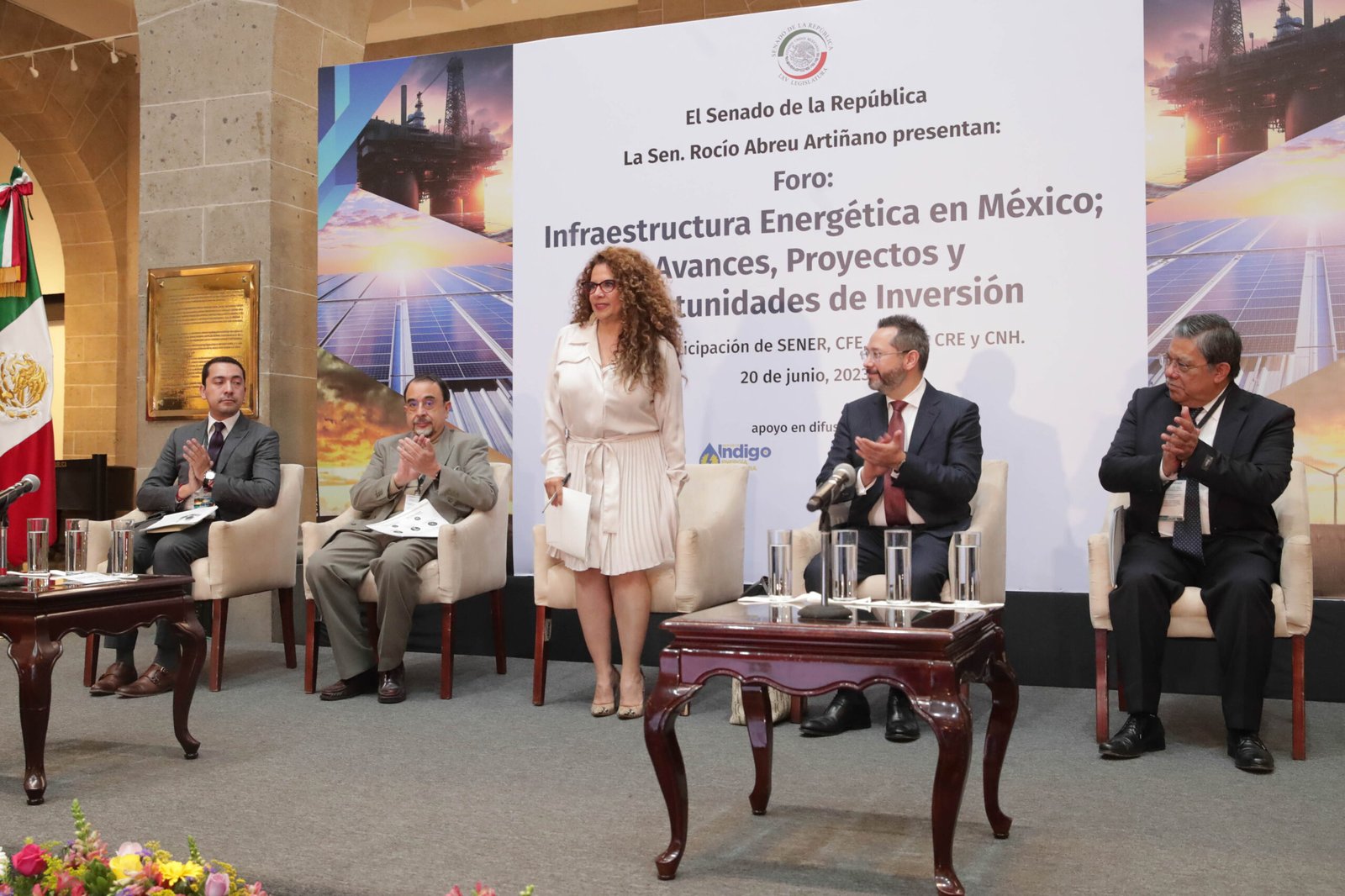 Plantean desde el Senado impulsar trabajo entre gobierno e IP para aprovechar potencial energético