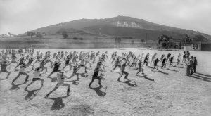 halcones-07-300×165-jpg-jpg