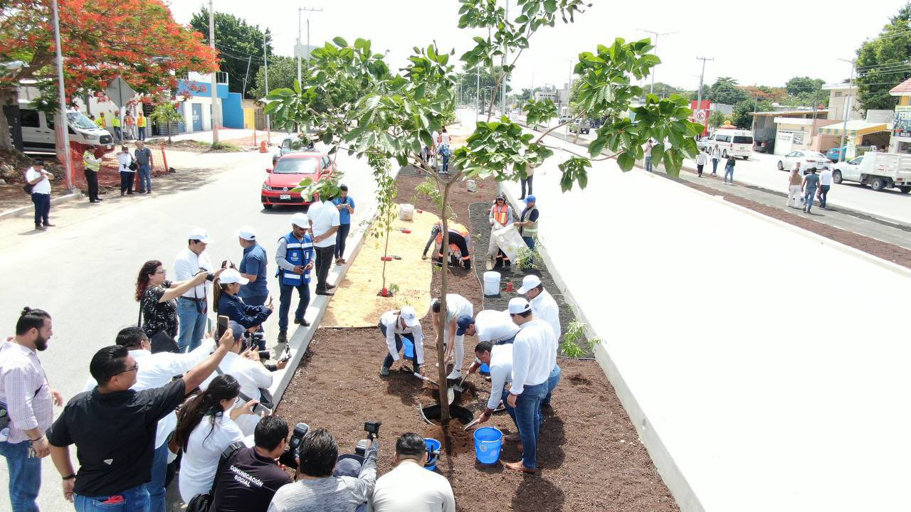 Sembrarán 1,500 árboles como parte del proyecto Ie-Tram