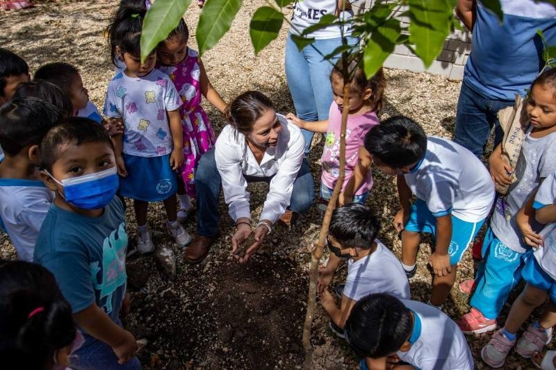 “Un niño, un árbol”, siembra 800 mil plantas nativas de Yucatán