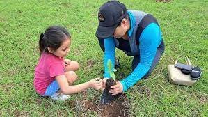 Se plantaron 5 mil 500 árboles de manera simultánea en Quintana Roo