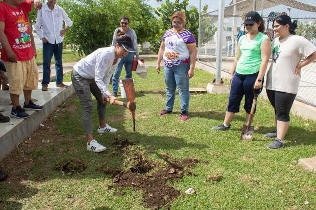 Plantan árboles en seis parques de Mérida