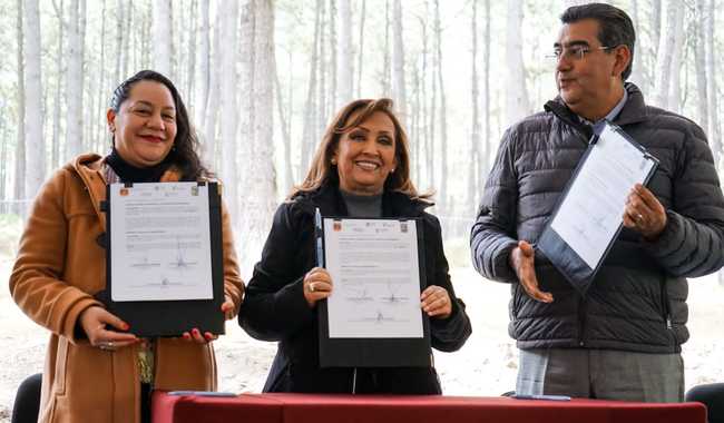 Quieren erradicar tala ilegal en la Malinche