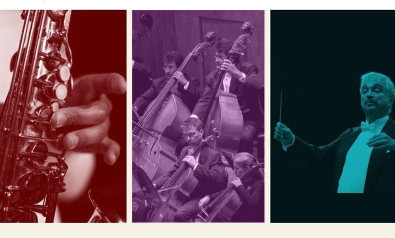 unnamed-2023-12-08t153034-990-jpg-jpg