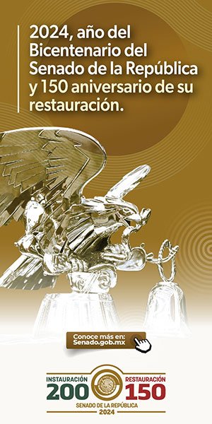 senado_300x600