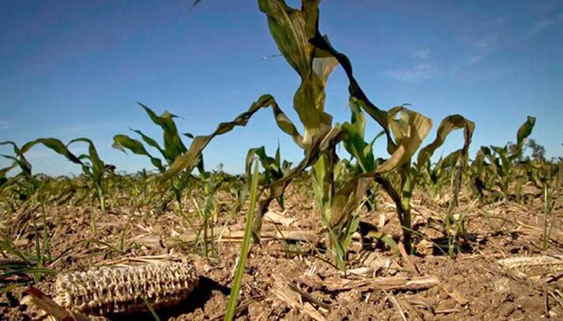 erta-alimentaria-png-jpg