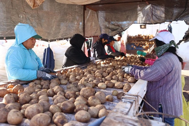 mujeres-campo-jpg-jpg