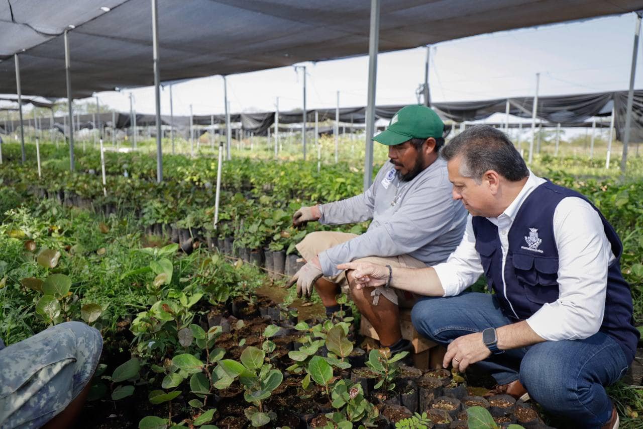 uncionamiento-de-cuatro-viveros-de-la-reserva-cuxtal-jpg