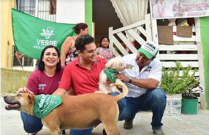 ania-mercado-brigada-jpg
