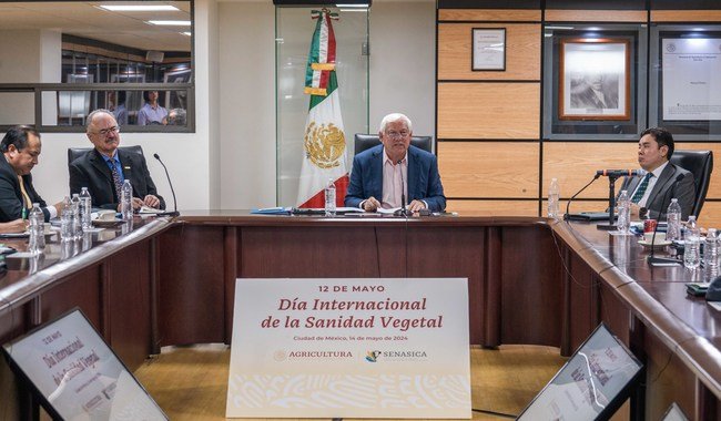 Llaman a proteger salud de las plantas