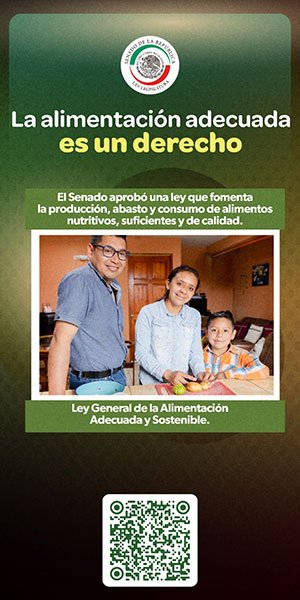 senado_300x600