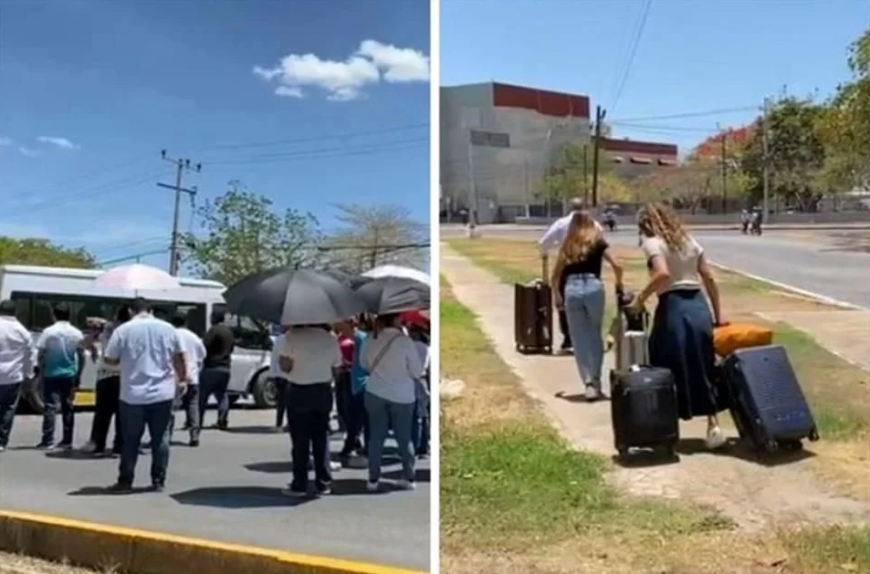 captura-de-pantalla-2024-06-06-a-las-3-10-26-p-m-png