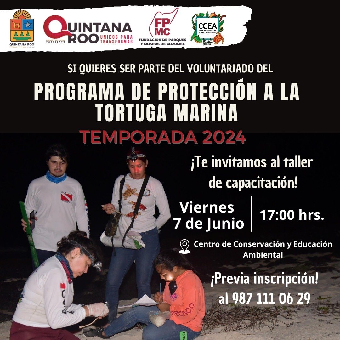 whatsapp-image-2024-06-05-at-13-34-35-jpeg