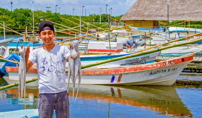 El Pulpo Maya, bien nacional protegido por ley