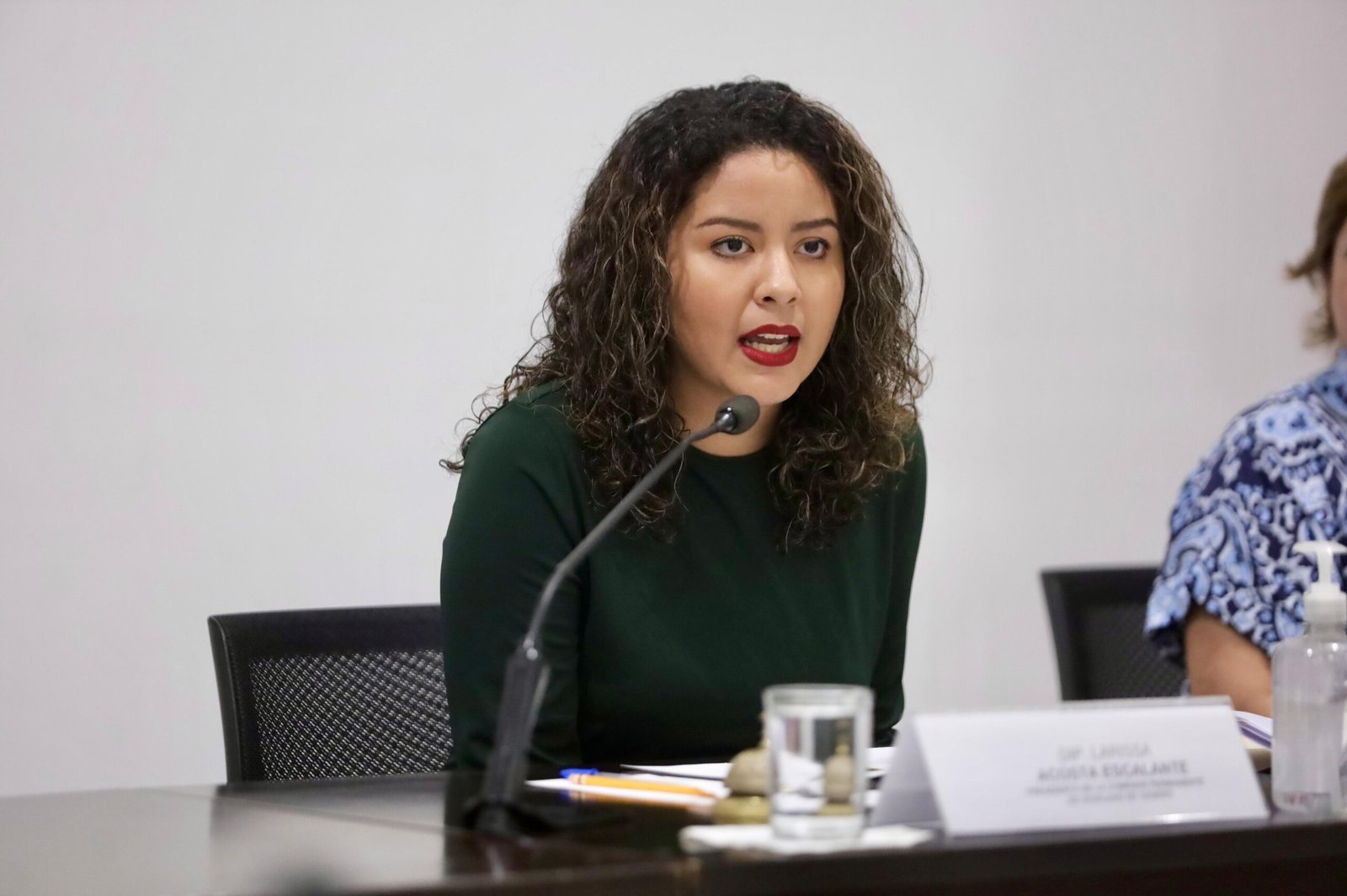 Larissa Acosta, presidenta de la Comisión de Igualdad de Género en Congreso de Yucatán