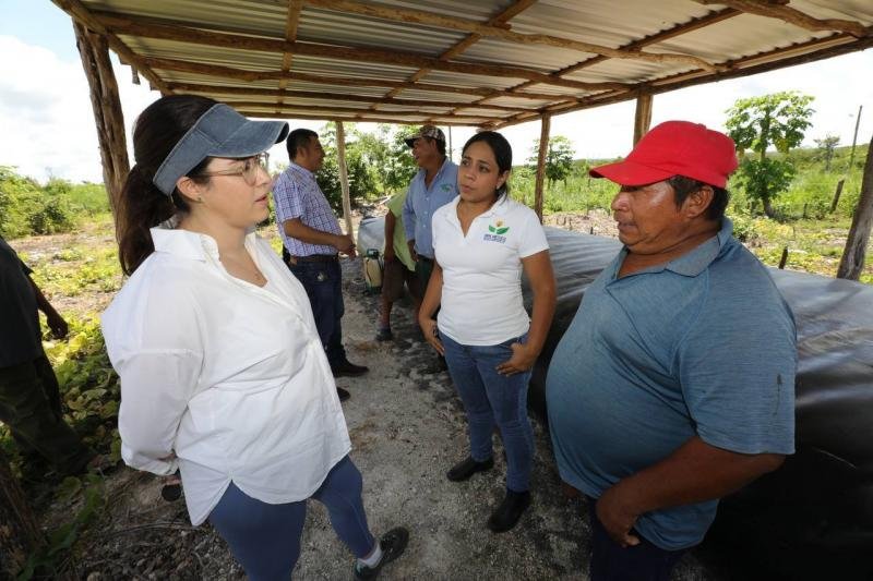 Yucatán y Japón celebran éxito de captadores de agua pluvial en zona maya