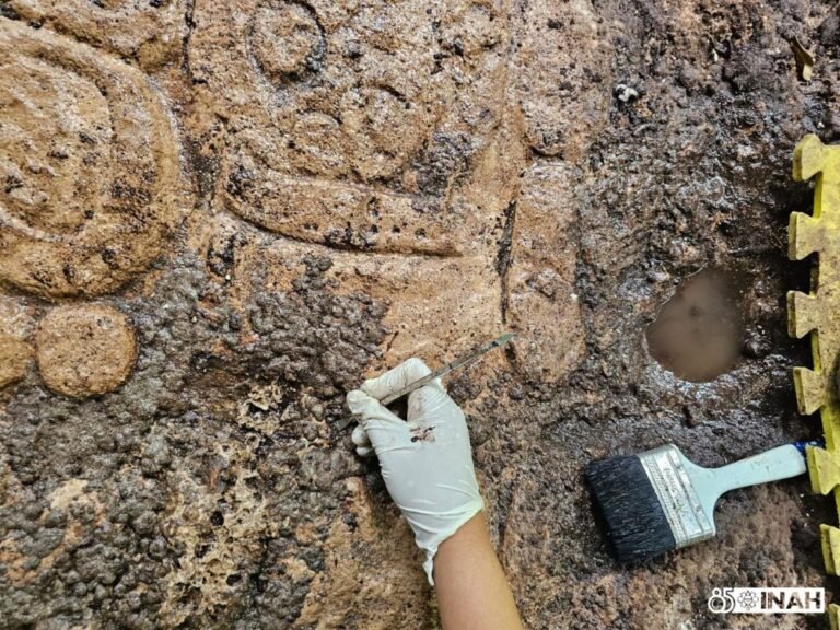 Realizan labores de conservación en la “Roca de la fundación”, texto jeroglífico maya recién descubierto en Cobá, Quintana Roo