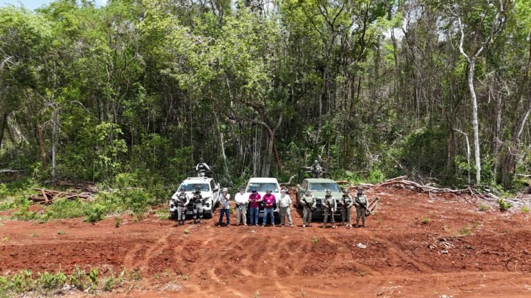 Mega operativo del Ejército y Profepa en Yucatán, Campeche y Quintana Roo vs desmonte ilegal en casi 3 mil hectáreas de selva