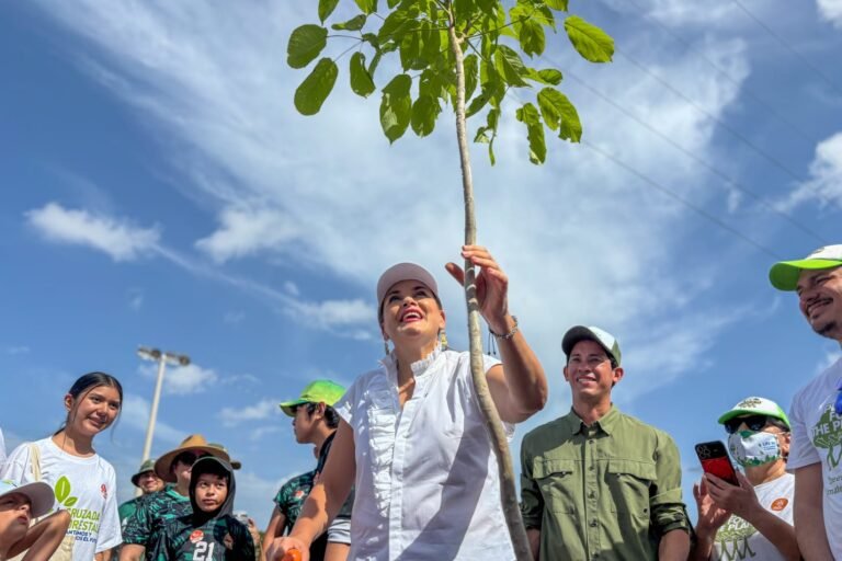 Cecilia Patrón inicia cruzada para reforestar Mérida