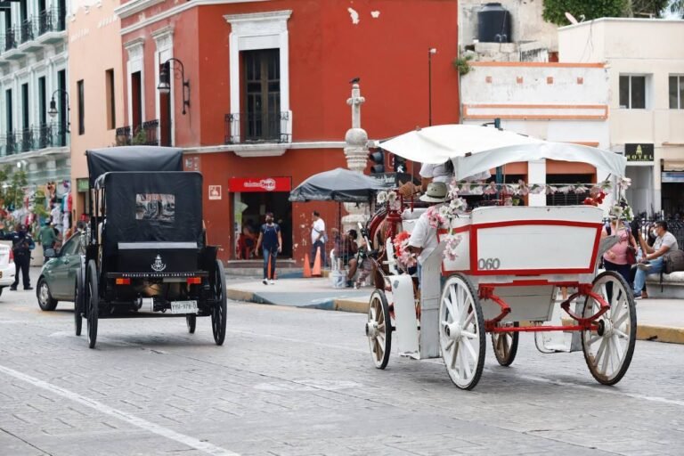 Disminuirán horas de trabajo a caballos en Mérida que tiran de calesas