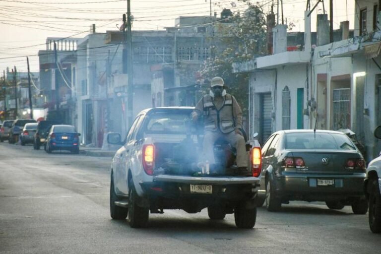 Eliminadas más de cien toneladas de criaderos de moscos en Mérida