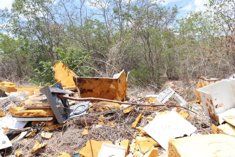 Denuncian devastación ilegal en Reserva Ecológica de Cuxtal; Fiscalía de Yucatán investigará
