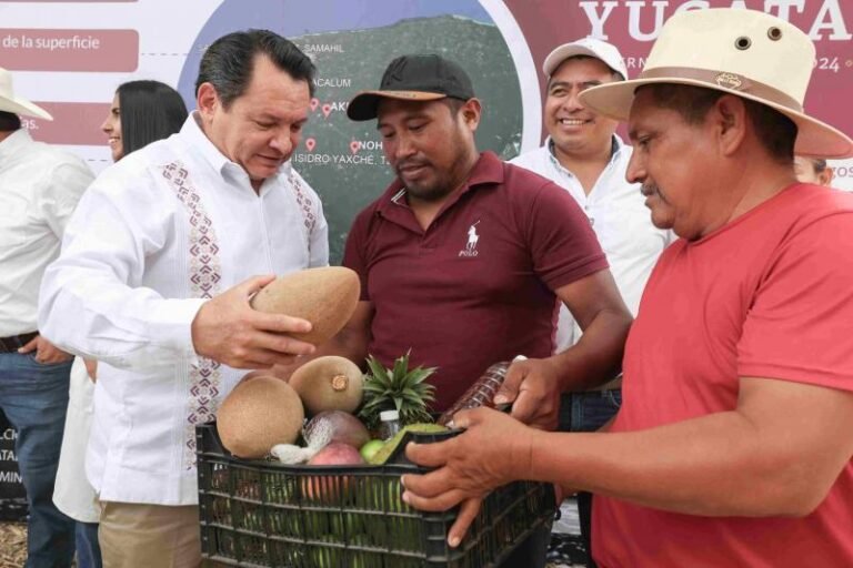 Gobierno de JoaquGobierno de Yucatán invertirá 40 mdp en caminos en municipios de Tzucacab, Tekax, Sacalum, Ticul, Akil y Samahil