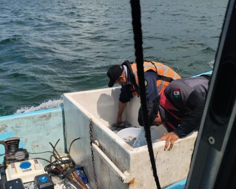 Continúan aprehendiendo a sujetos por pesca ilegal en costas de Yucatán