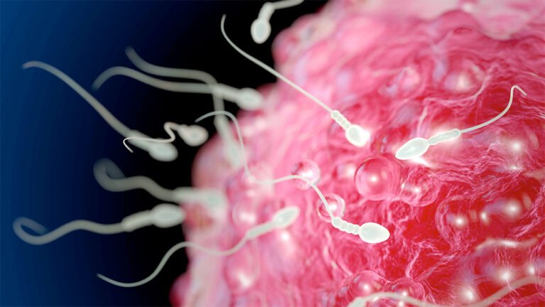 Diabetes afecta capacidad de fecundación de espermatozoides