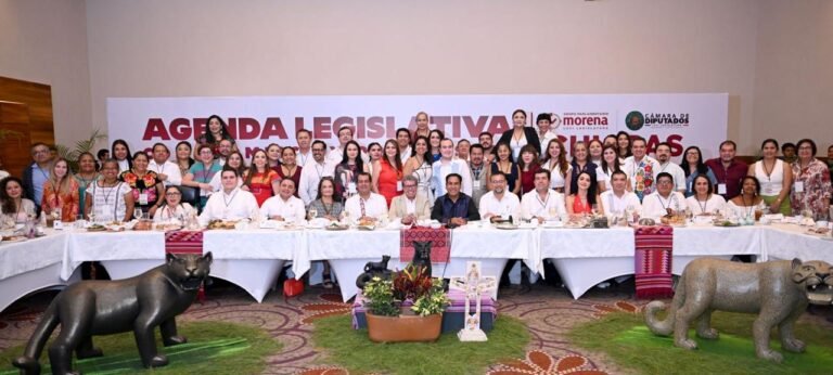 Muestra músculo bancada de Morena en Cámara de Diputados
