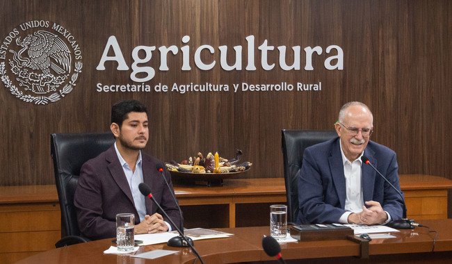 México refuerza acciones para proteger a las abejas y a la apicultura