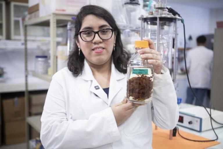 Sargazo será debatido en foro de innovación tecnológica
