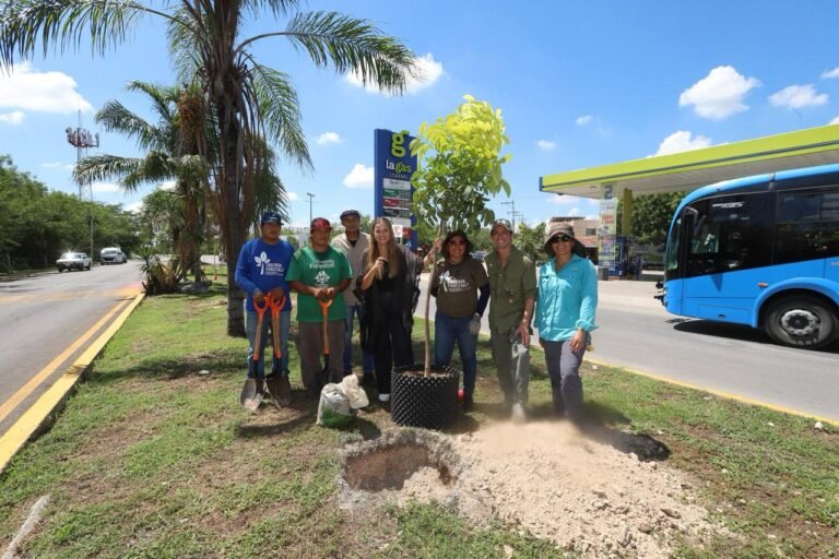 En Mérida cultivan y plantan árboles con sistema Air-Pot