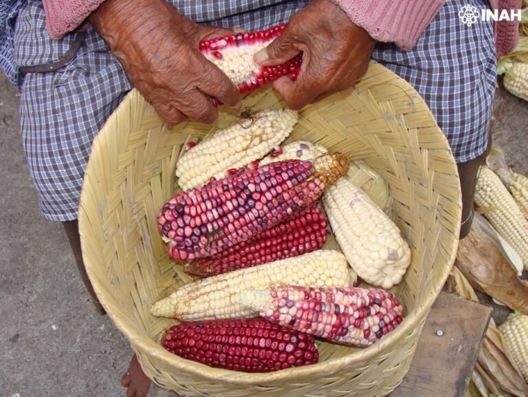 Simbolismos e identidad étnica tlaxcalteca, en el nuevo número de la ChíquINAH