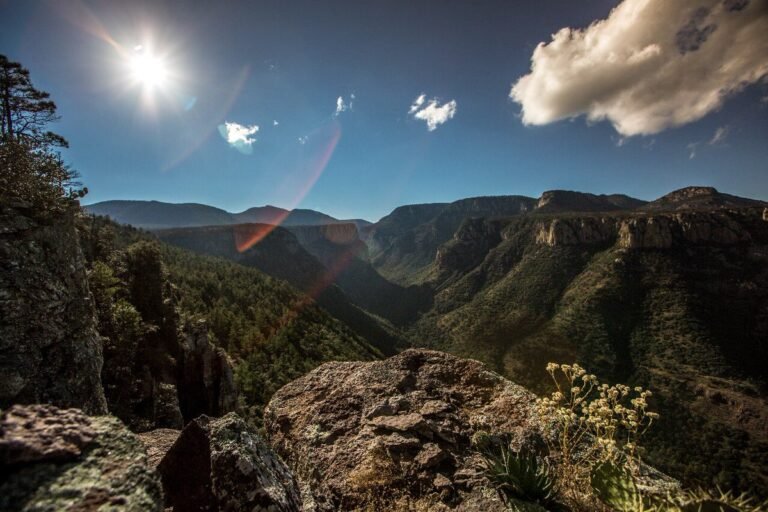 En riesgo Áreas Naturales Protegidas del sureste mexicano porrecorte del resupuesto 2026