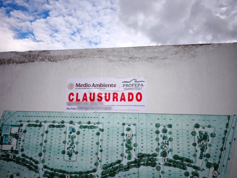 Profepa clausura obras de proyecto inmobiliario en Mérida