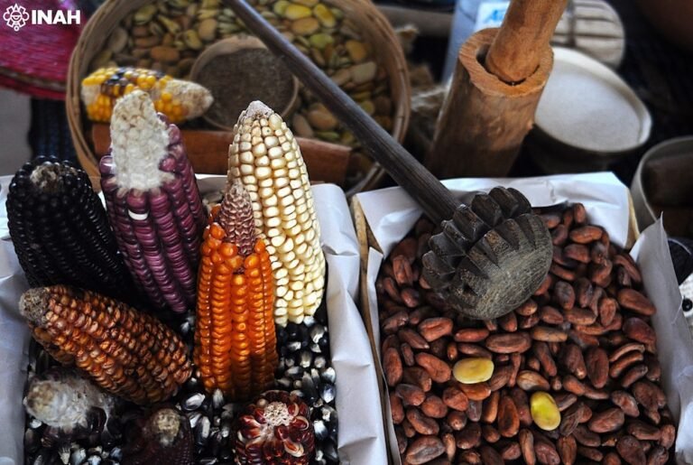 Con encuentro académico y exposición, difundirán saberes alimentarios de Latinoamérica