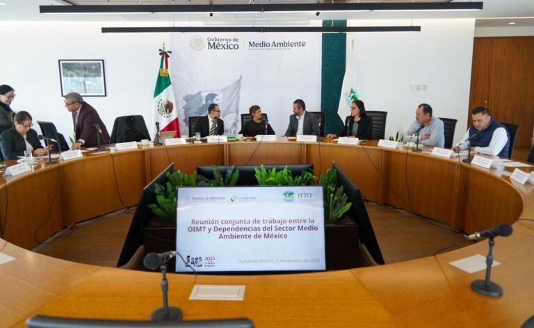 Fortalecen cooperación en materia forestal