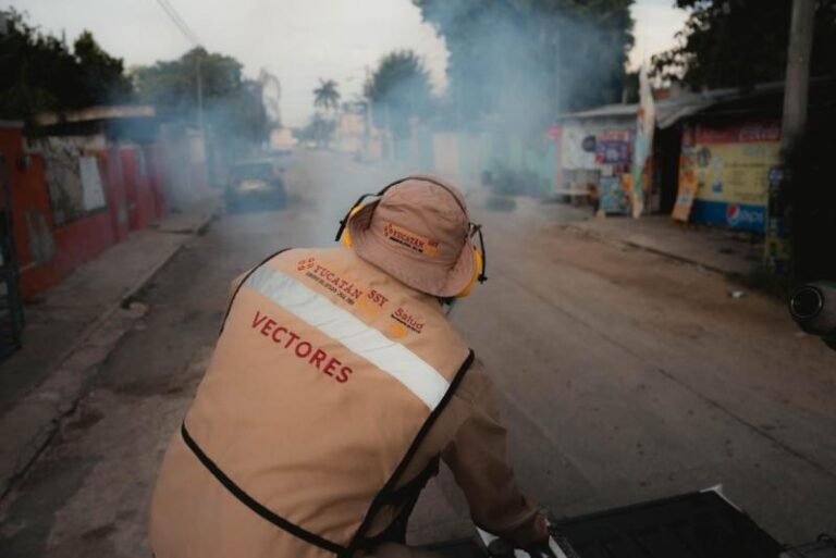 Chikungunya en Cuba prende focos rojos en Yucatán